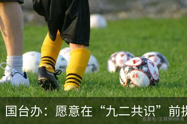 国台办：愿意在“九二共识”前提下就恢复两岸投资争端协处机制运作开展对话