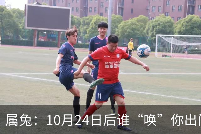 属兔：10月24日后谁“唤”你出门都别去，百年难遇3大好事捂心里