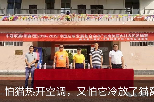 怕猫热开空调，又怕它冷放了猫窝，结果一看监控，绝了！