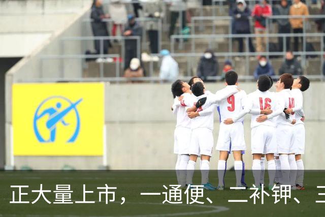 正大量上市，一通便、二补钾、三控糖、四护血管，建议大家多吃。